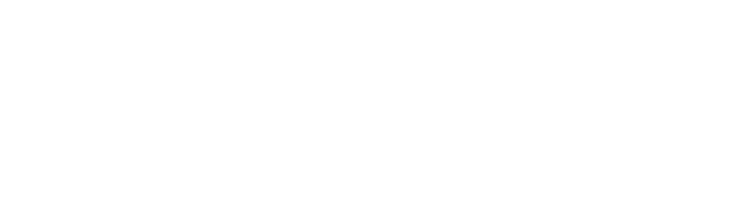 AutoPulse